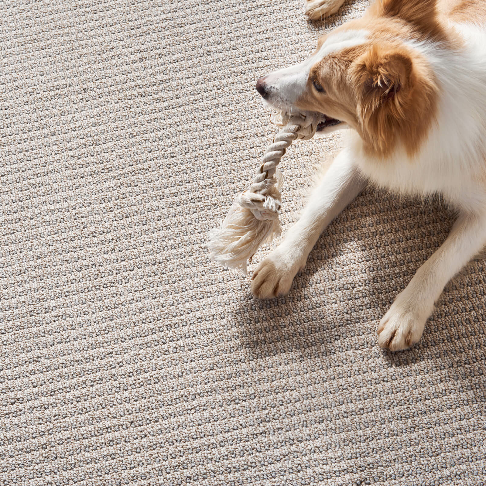 Elegant Designer Carpet Hochtief Effect Short Pile Relief Effect Beige Grey Marl 